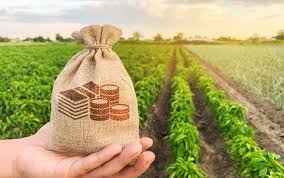 Especialistas avaliam que o cenário exige equilíbrio. O dólar valorizado é positivo para o agronegócio e para a economia de Mato Grosso, mas impõe desafios ao custo de vida da população. Enquanto o câmbio seguir nesse patamar, o agro continuará sendo um dos principais pilares de sustentação econômica do Estado, ao mesmo tempo em que o consumidor sente os efeitos no orçamento mensal.