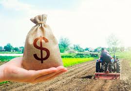 Agro ganha força com dólar valorizado