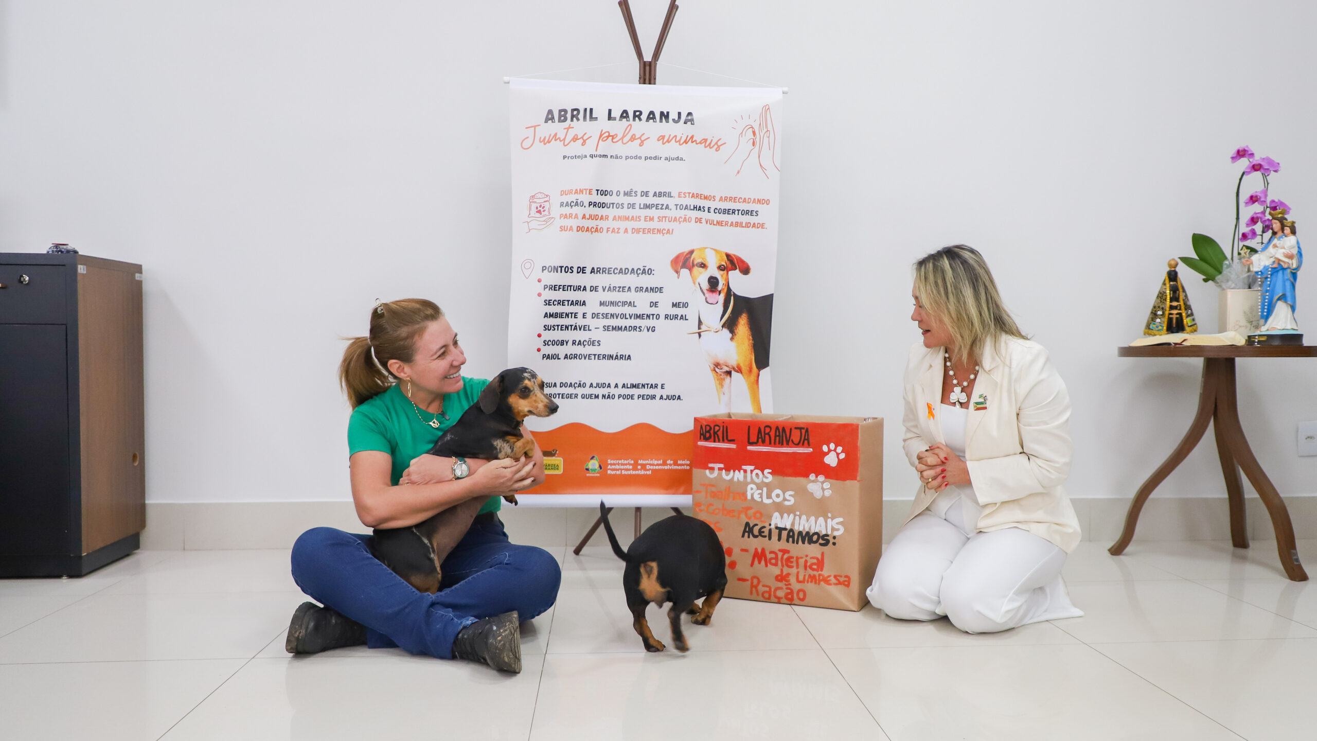 Prefeita de Várzea Grande sanciona lei e lança campanha de doação para proteção animal