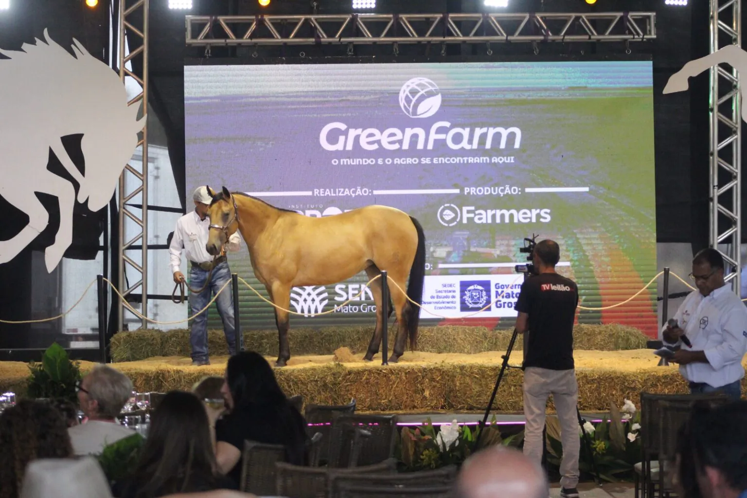 Green Farm 2026 terá quatro leilões com genética de elite e expectativa de milhões em Cuiabá